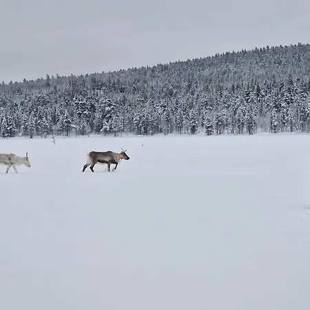 White Creek Wilderness Inari